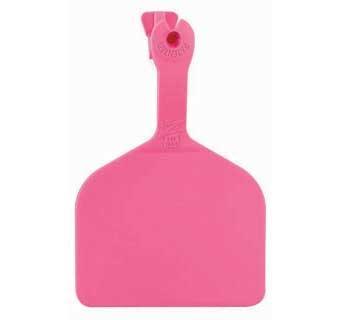 Z Tags Feedlot Tag - Houlihan Saddlery LLC